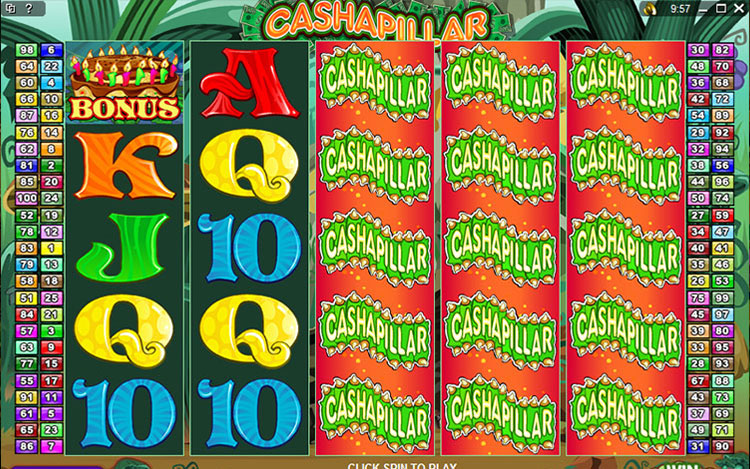 cashapillar-adventure-slot.jpg