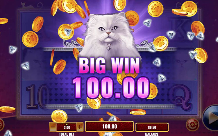 kitty-glitter-slot-game-features.jpg