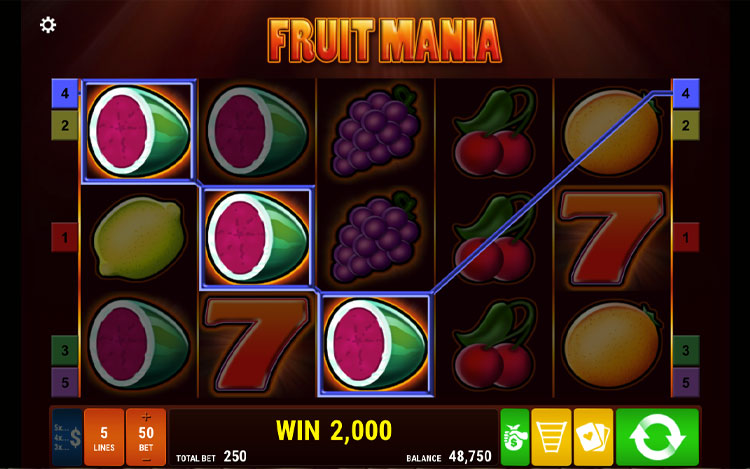 Fruit Mania Slots SpinGenie