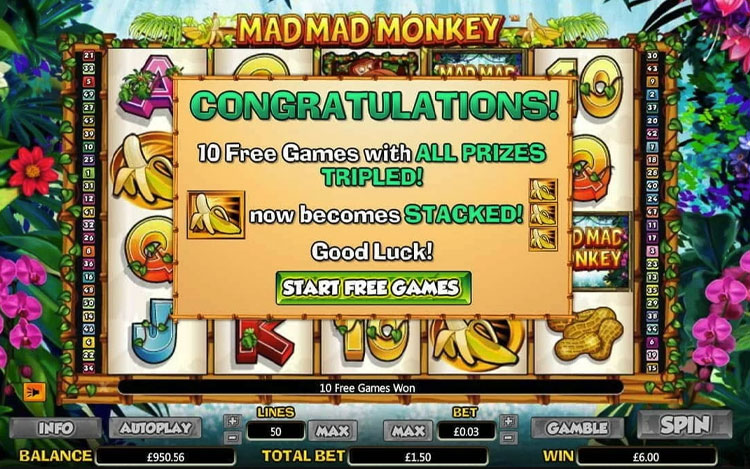 Mad Mad Monkey Slots SpinGenie